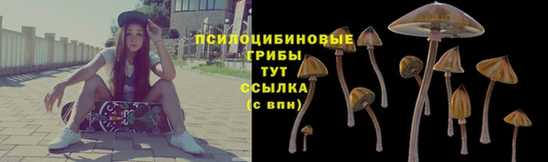 гашик Абдулино