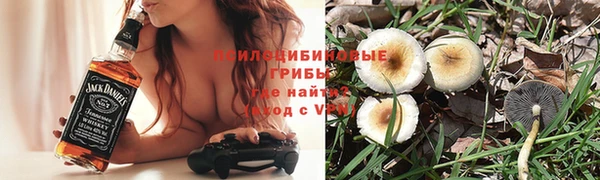 молекула духа Абинск