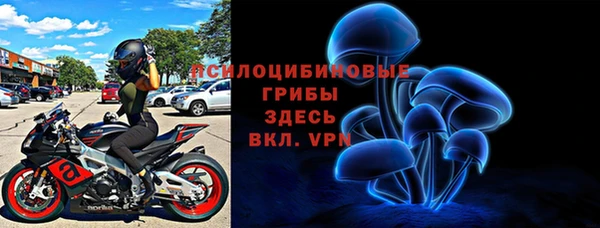 молекула духа Абинск